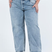 Holly Asymmetric Straight Leg Jean Light Wash Denim Curve