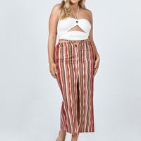 Molly Retro Stripe Midi Skirt Multi
