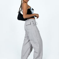 Austin Parachute Pants Grey