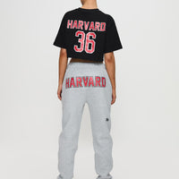 Harvard Sweatpants Grey