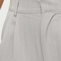 Seize The Day Shorts Charcoal Pinstripe