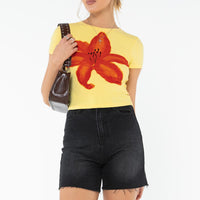 Impala Shorts Washed Black Denim