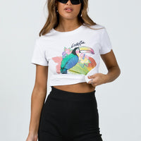 Ivy Bike Shorts Black