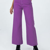 Denver Denim Jeans Purple