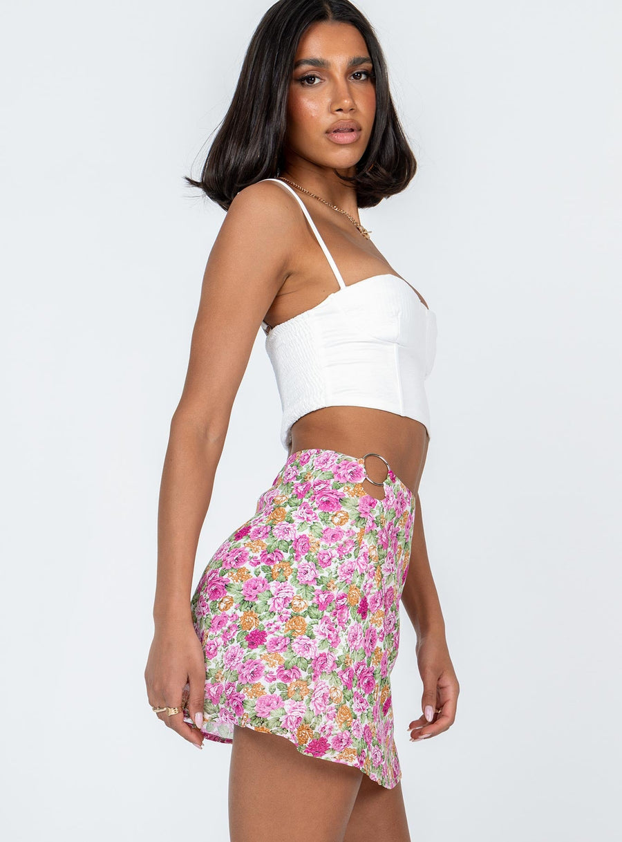Tanner Mini Skirt Multi