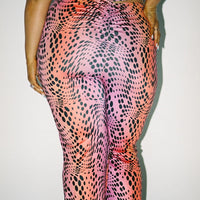 Radiant Pants Multi Curve
